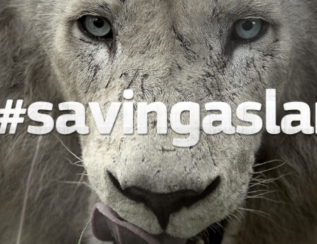Branded Content en el caso #SavingAslan